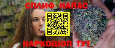 jwh Кингисепп