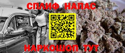 jwh Кингисепп