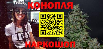 jwh Кингисепп