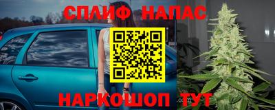 спиды Кинель