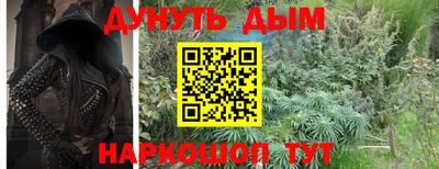 jwh Кингисепп