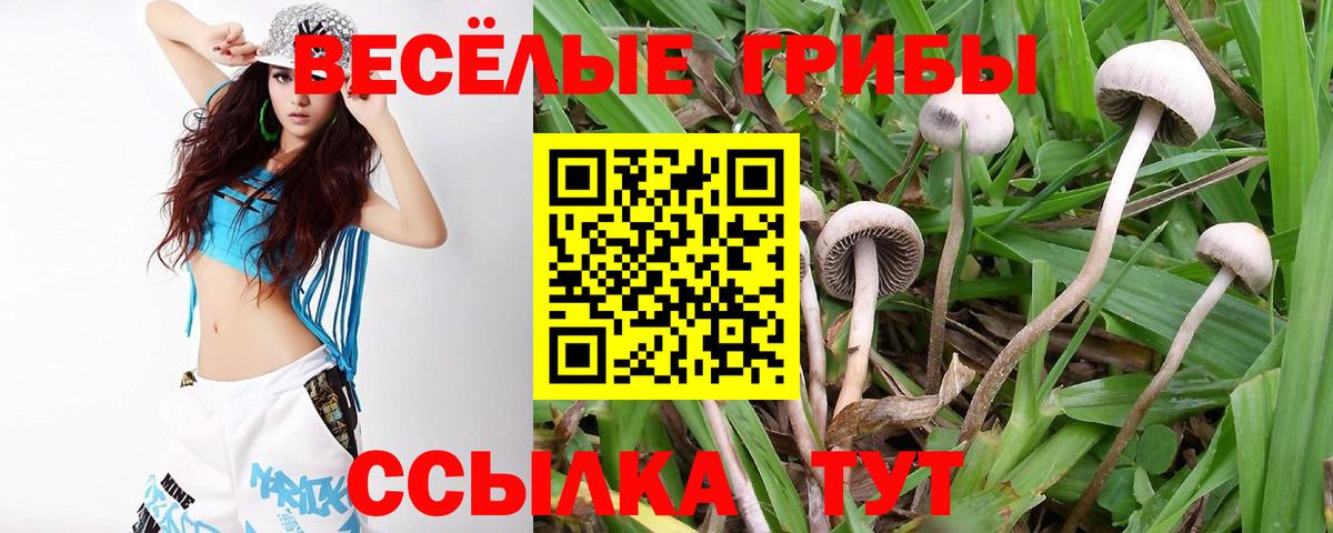 Ступино  Псилоцибиновые грибы MAGIC MUSHROOMS  Псилоцибиновые грибы ЛСД  где можно купить   Вход с VPN 